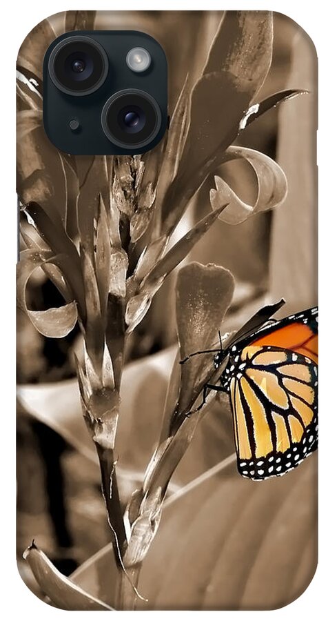 Macro iPhone Case featuring the photograph Butterfly in Sepia by Lauren Radke
