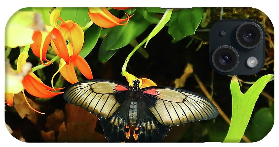 Butterfly Insect Foliage Flowers Orange Golden Wings Black Reddish Pink Circles Nature Wildlife Hidden Shimmering Green iPhone Case featuring the photograph Butterfly in the Foliage by Jeff Townsend