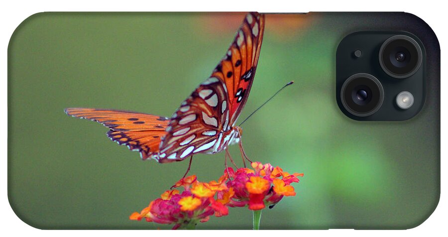 Butterfly iPhone Case featuring the photograph Butterfly Majestic by DB Hayes