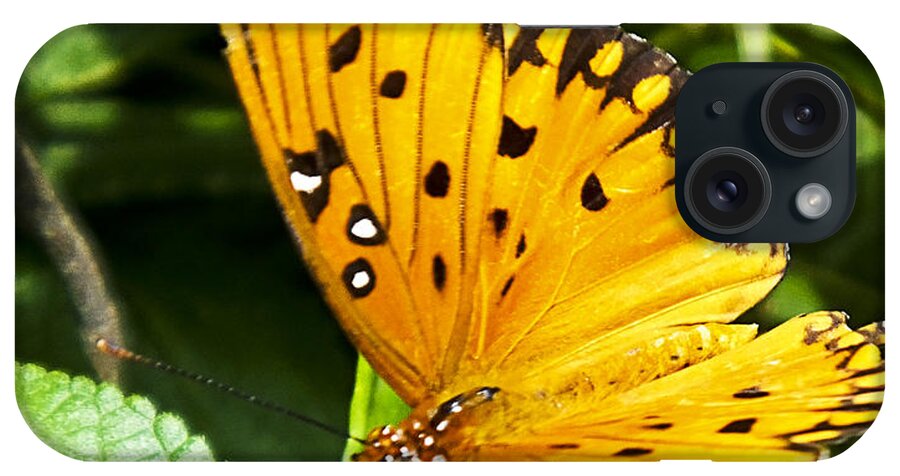 Butterfly iPhone Case featuring the photograph Butterfly on Lantana by Bill Barber