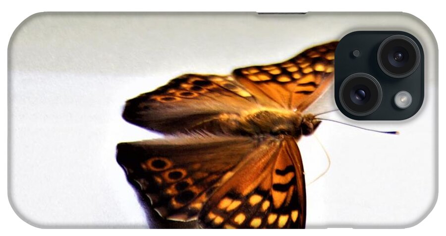 Butterflies iPhone Case featuring the photograph Butterfly on my car1 by Merle Grenz