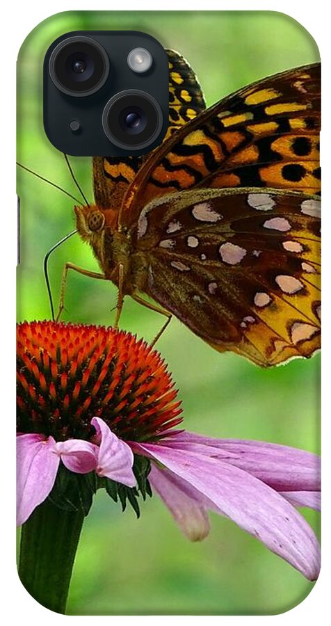 Butterfly On The Flower iPhone Case featuring the photograph Butterfly on the flower by Lilia S