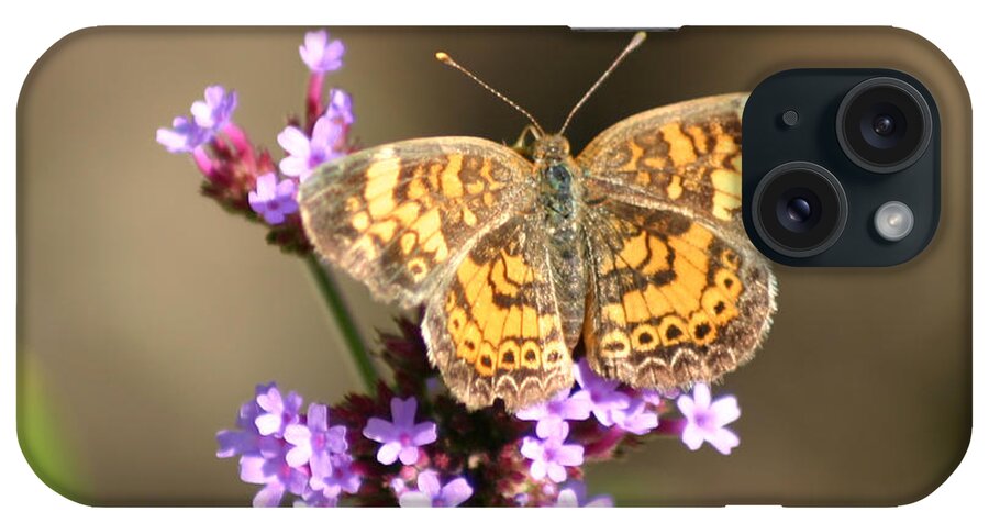 Butterfly iPhone Case featuring the photograph Butterfly on Verbena by Robert E Alter Reflections of Infinity