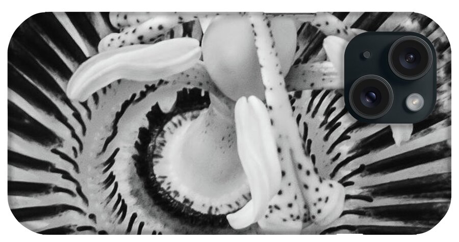 Atlantic iPhone Case featuring the photograph BW Marco of Passiflora in Bermuda by Jeff at JSJ Photography