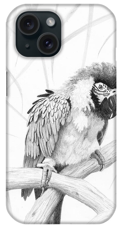Parrot iPhone Case featuring the drawing BW Parrot by Phyllis Howard