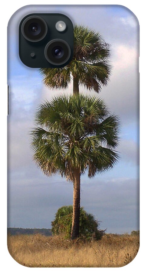 Nature iPhone Case featuring the photograph Cabbage Palms by Peggy Urban