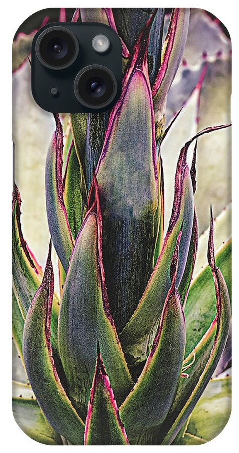 Cactus iPhone Case featuring the photograph Cactus Desert Plant by Julie Palencia