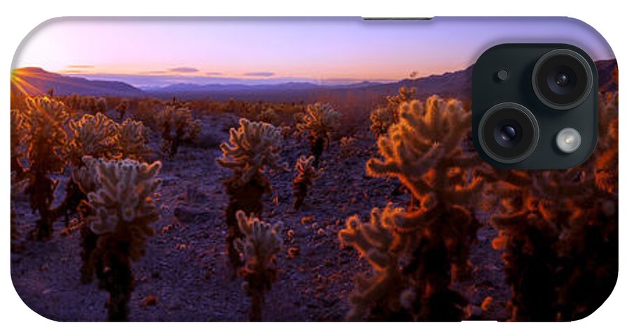 Prickly iPhone Case featuring the photograph Prickly by Chad Dutson