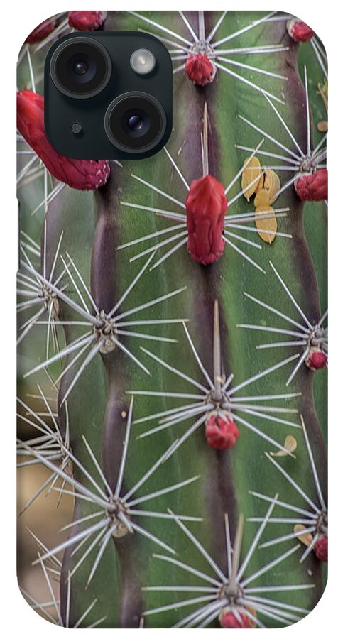 Cactus iPhone Case featuring the photograph Cactus Needles 5930-041118-1 by Tam Ryan