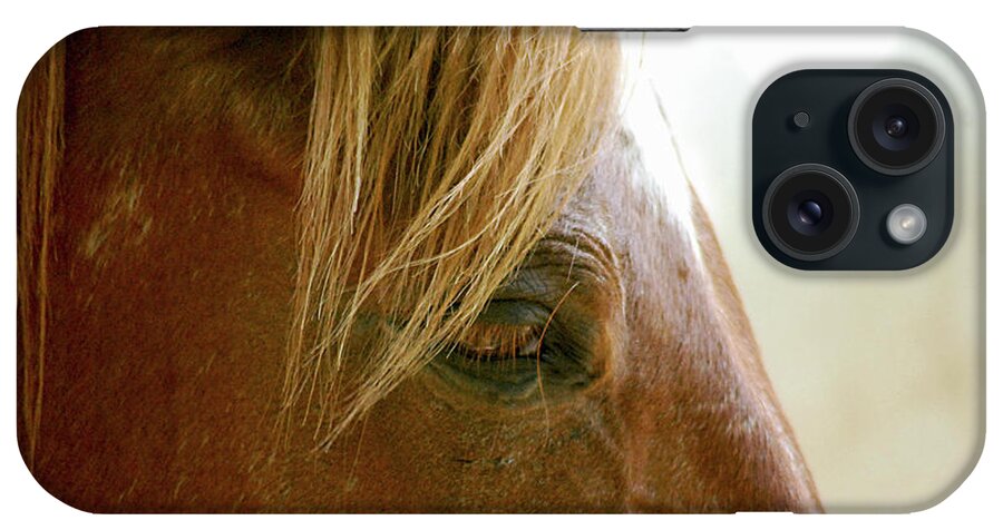 Cades Cove iPhone Case featuring the photograph Cades Cove Horse 20160525_241 by Tina Hopkins