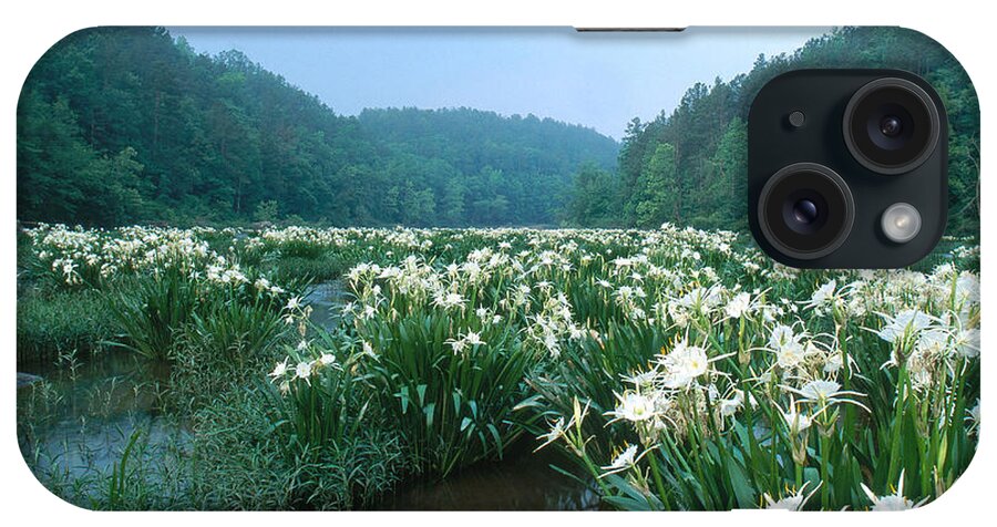 Cahaba River iPhone Case featuring the photograph Cahaba River With Lilies by Jeffrey Lepore