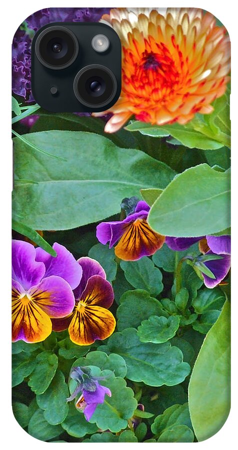 Flowers iPhone Case featuring the photograph Calendula and Pansies by Janis Senungetuk