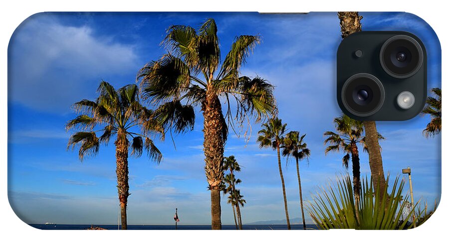 Blue Sky iPhone Case featuring the photograph California palm trees and blue sky by Diane Lent