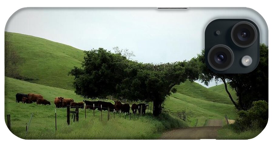 California iPhone Case featuring the photograph California Ranch Lands by Jan Moore