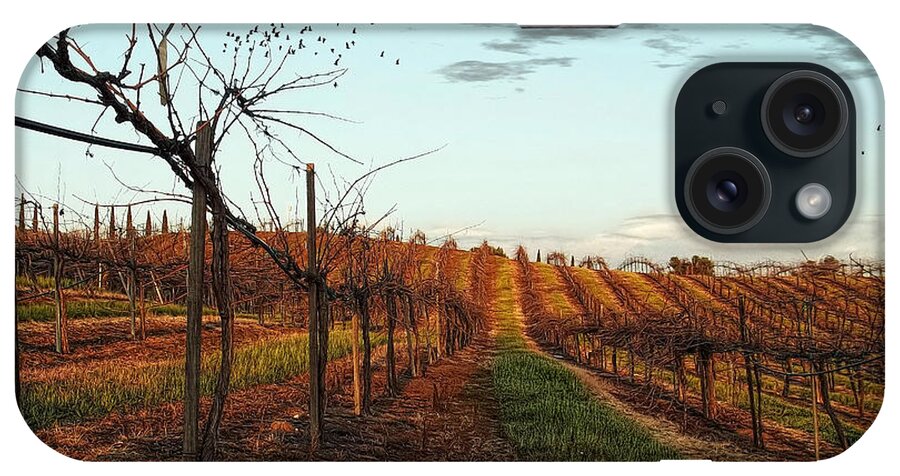 Vineyard iPhone Case featuring the photograph California Vineyard In Winter by Glenn McCarthy Art and Photography