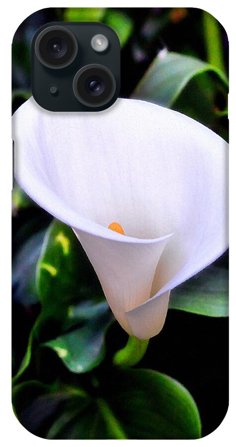 Calla Lily iPhone Case featuring the photograph Calla Lily by Glenn McCarthy Art and Photography