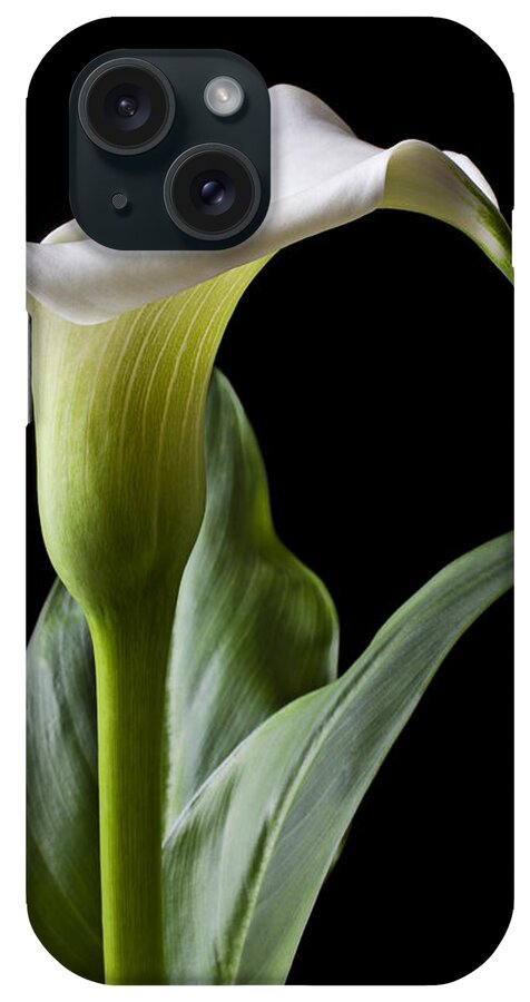 Calla Lily iPhone Case featuring the photograph Calla lily with drip by Garry Gay