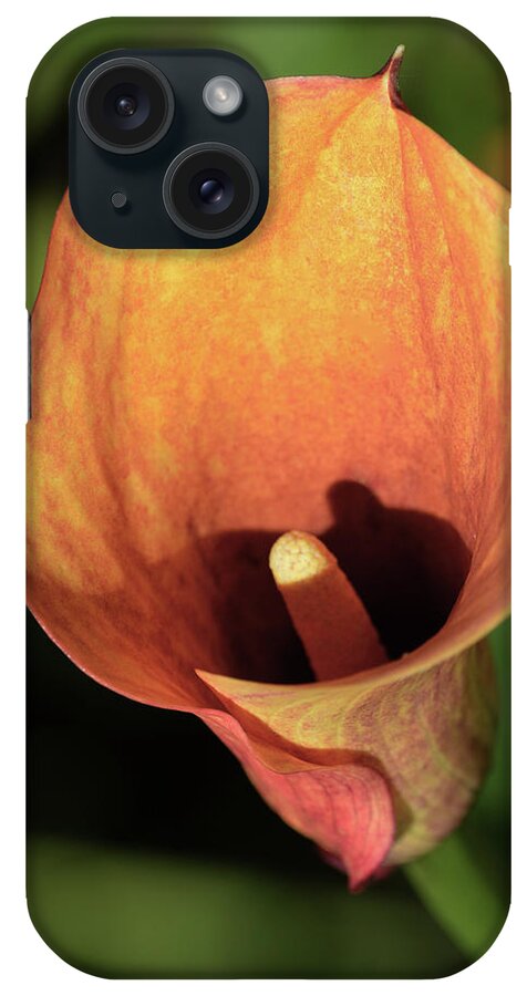 Calla Lily iPhone Case featuring the photograph Calla Sunbathing. by Terence Davis