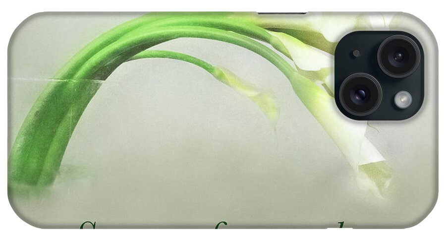 Callas iPhone Case featuring the photograph Calla Thoughts by Marilyn Cornwell