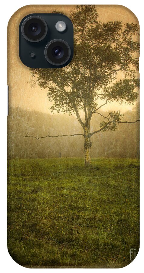 Craig iPhone Case featuring the photograph Camden Tree Fog in the Meadow by Craig J Satterlee