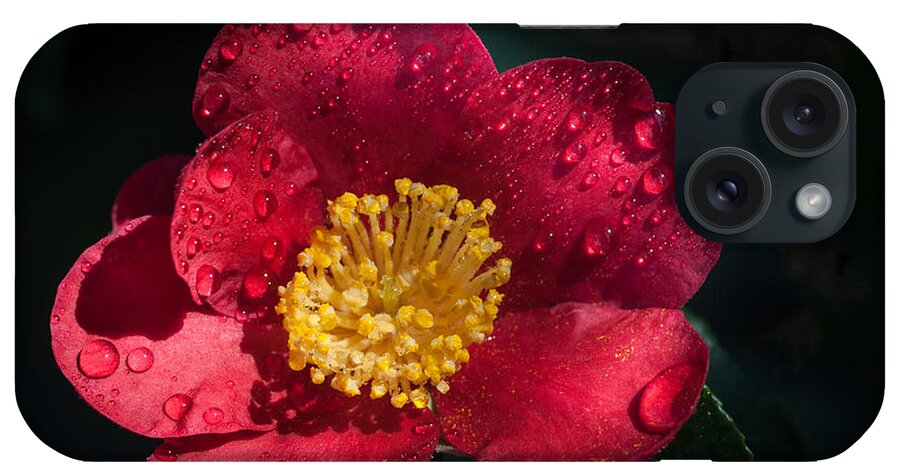 Red Flower iPhone Case featuring the photograph Camellia In Rain by Catherine Lau