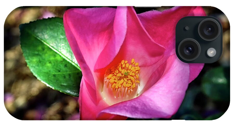 Camellia. Flower iPhone Case featuring the photograph Camellia - Tulip Time 001 by George Bostian