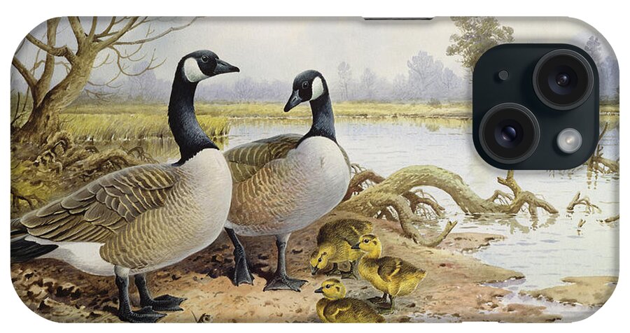 Canada Geese iPhone Case featuring the painting Canada Geese by Carl Donner