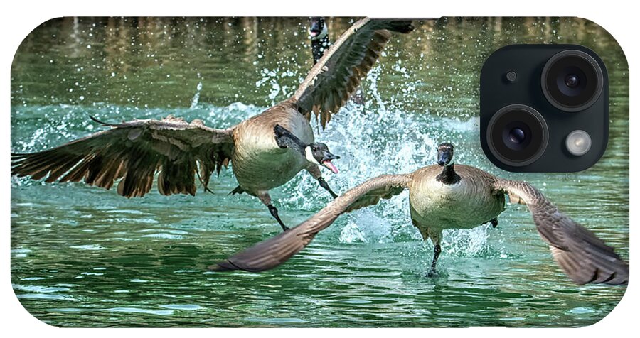 Canada iPhone Case featuring the photograph Canada Geese Chase 4906 by Tam Ryan