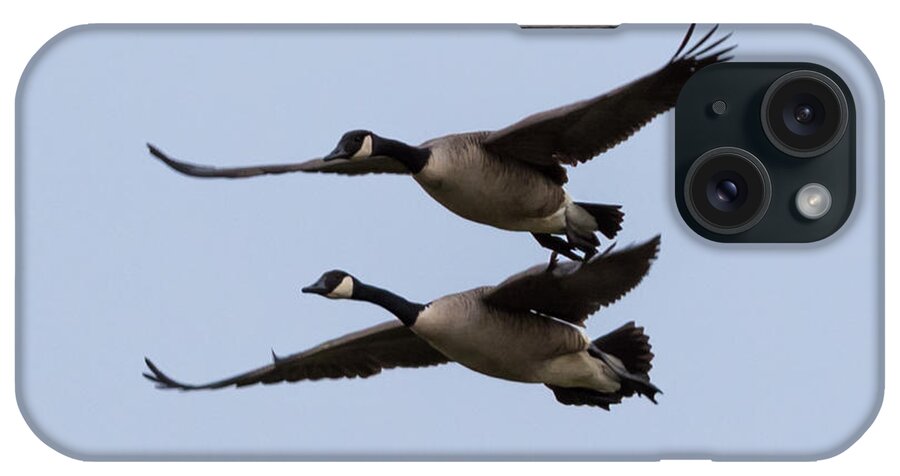 Canada Geese iPhone Case featuring the photograph Canada Geese in Flight by Holden The Moment