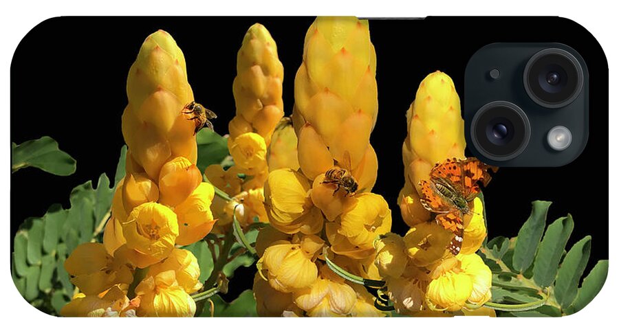Yellow Flowers iPhone Case featuring the photograph Candle Bush - Cassia Alata POSTER by Robert J Sadler