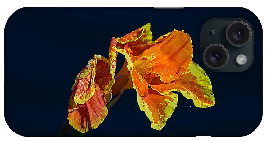 Nature iPhone Case featuring the photograph Canna by Kenneth Albin