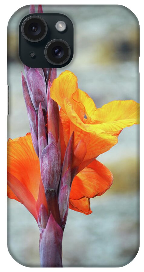 Cannas iPhone Case featuring the photograph Cannas by Terence Davis