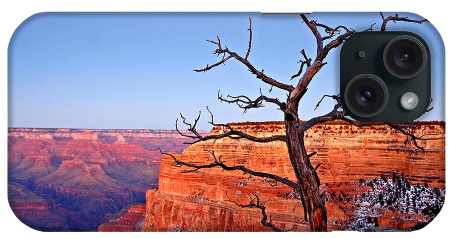 Arizona iPhone Case featuring the photograph Canyon Tree by Peter Tellone