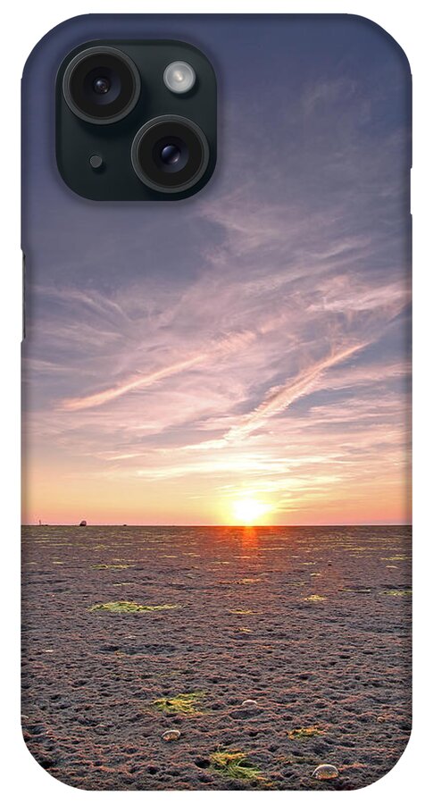 Jellyfish iPhone Case featuring the photograph Cape Cod Jellyfish by Juergen Roth