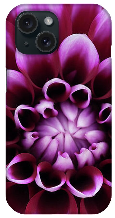 Jigsaw Puzzle iPhone Case featuring the photograph Captivate by Carole Gordon