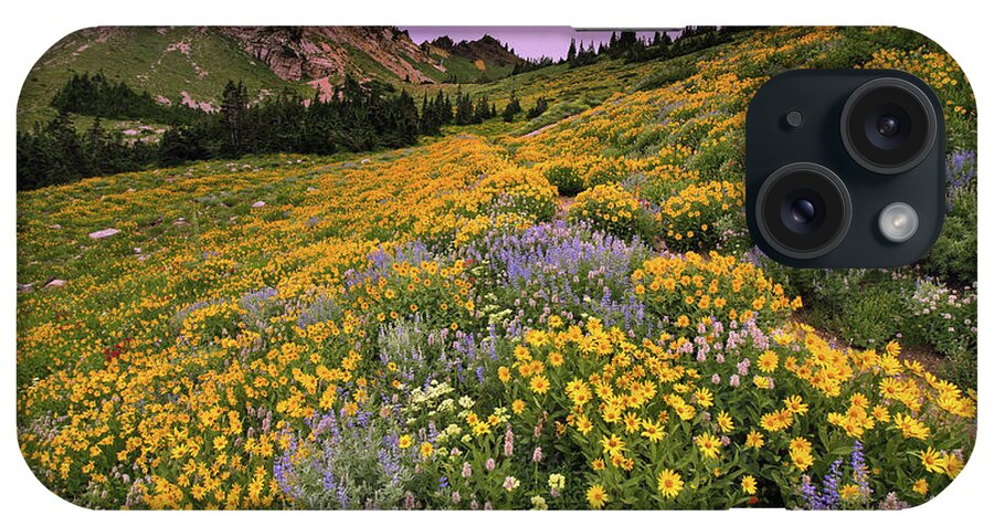Utah iPhone Case featuring the photograph Cardiff Pass Sunset and Wildflowers - Alta, Utah by Brett Pelletier
