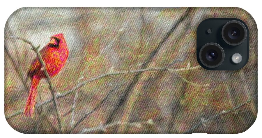 Cardinal iPhone Case featuring the photograph Cardinal and Spring Buds by Diane Lindon Coy