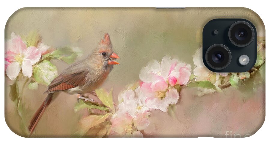 Bird iPhone Case featuring the photograph Cardinal Delight by Pam Holdsworth