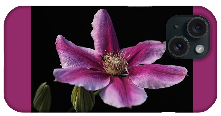 Abundant iPhone Case featuring the photograph Carnaby Clematis by Tammy Pool