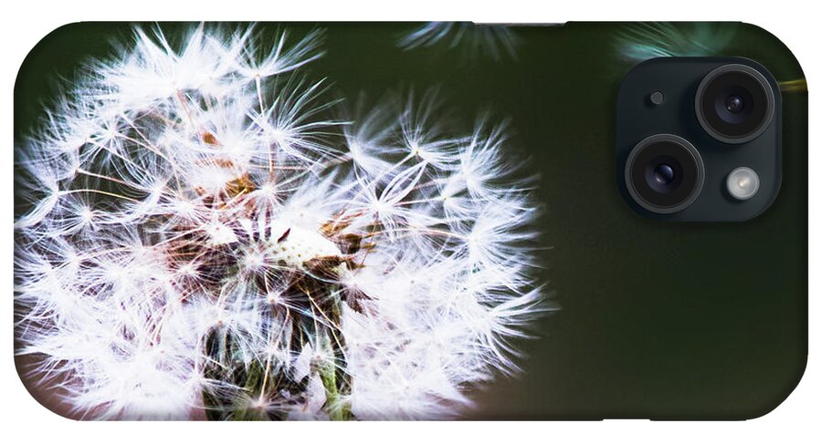 Dandelion iPhone Case featuring the photograph Carried by the Wind by Parker Cunningham