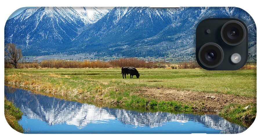 Carson iPhone Case featuring the photograph Carson Valley Reflection by Dianne Phelps