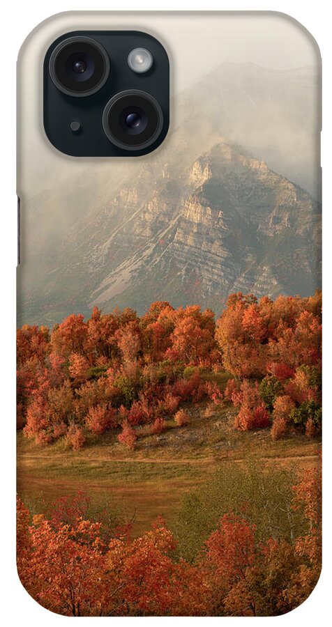 Cascade Meadow iPhone Case featuring the photograph Cascading Fall by Emily Dickey