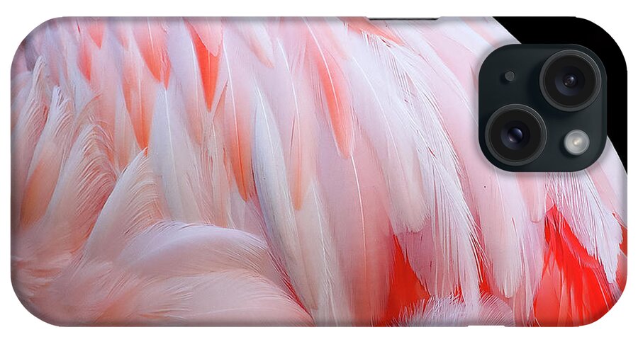 Feathers iPhone Case featuring the photograph Cascading feathers by Elvira Butler