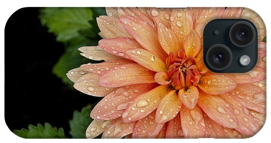 Blossom iPhone Case featuring the photograph Cascading Rain droplets by Deborah Klubertanz