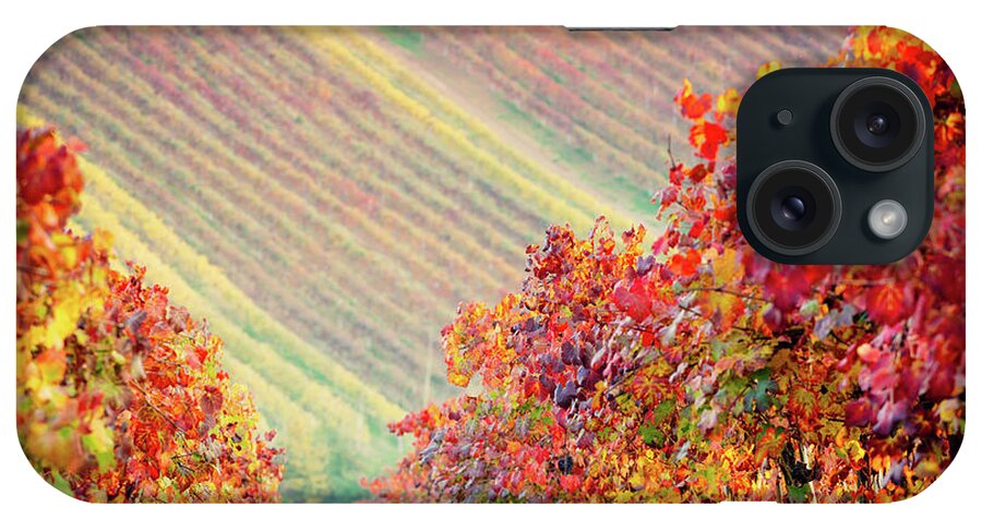 Emilia iPhone Case featuring the photograph Castelvetro di Modena, vineyards in Autumn by Francesco Riccardo Iacomino