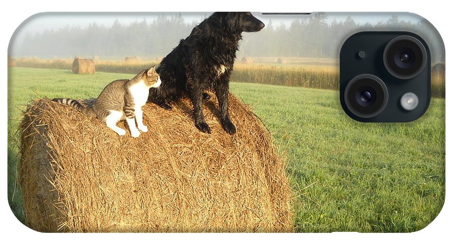 Cat iPhone Case featuring the photograph Cat and Dog on Hay Bale by Kent Lorentzen