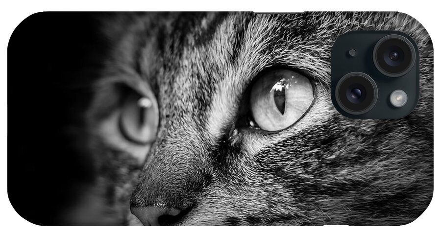 Cat iPhone Case featuring the photograph Cat Stare BW by Rick Deacon
