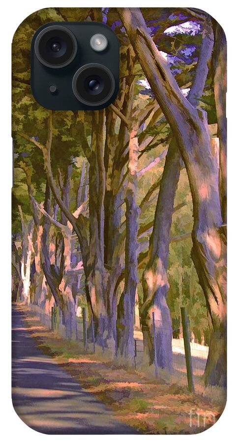 Trees iPhone Case featuring the photograph Cathedral of Trees by Joyce Creswell