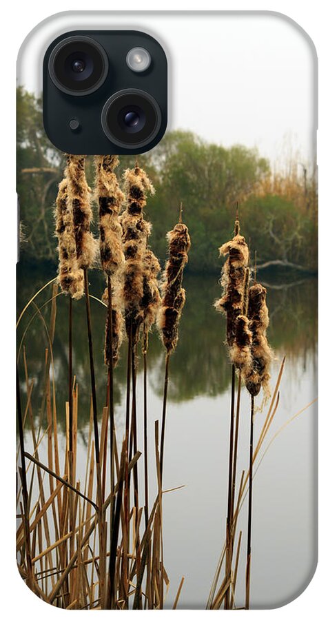 Cattails iPhone Case featuring the photograph Cattails by Travis Rogers