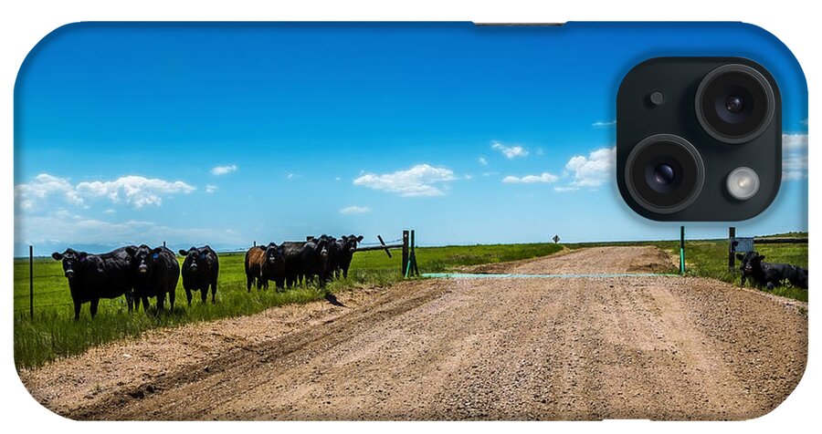 Cattle Guard iPhone Case featuring the photograph Cattle Guard by Jon Burch Photography